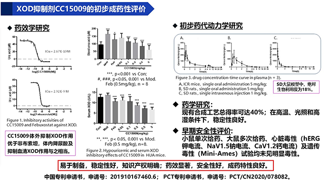 6肖_正文.png