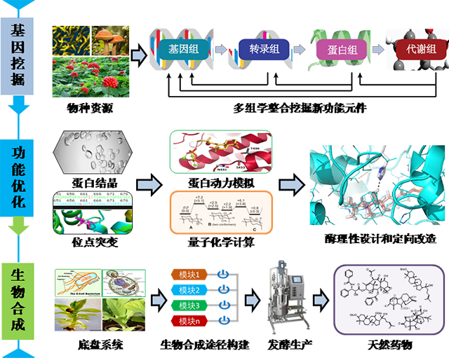 微生物与生化药学web.png